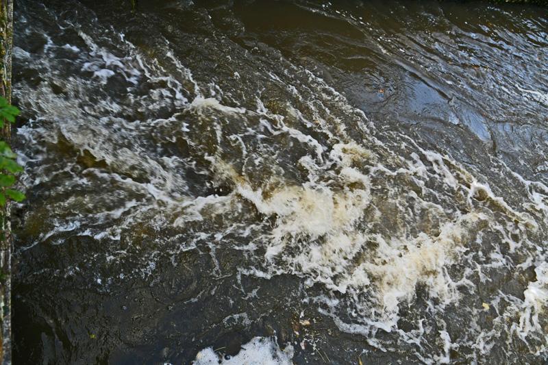 min 2023 11 19 Moulin du plateau 026